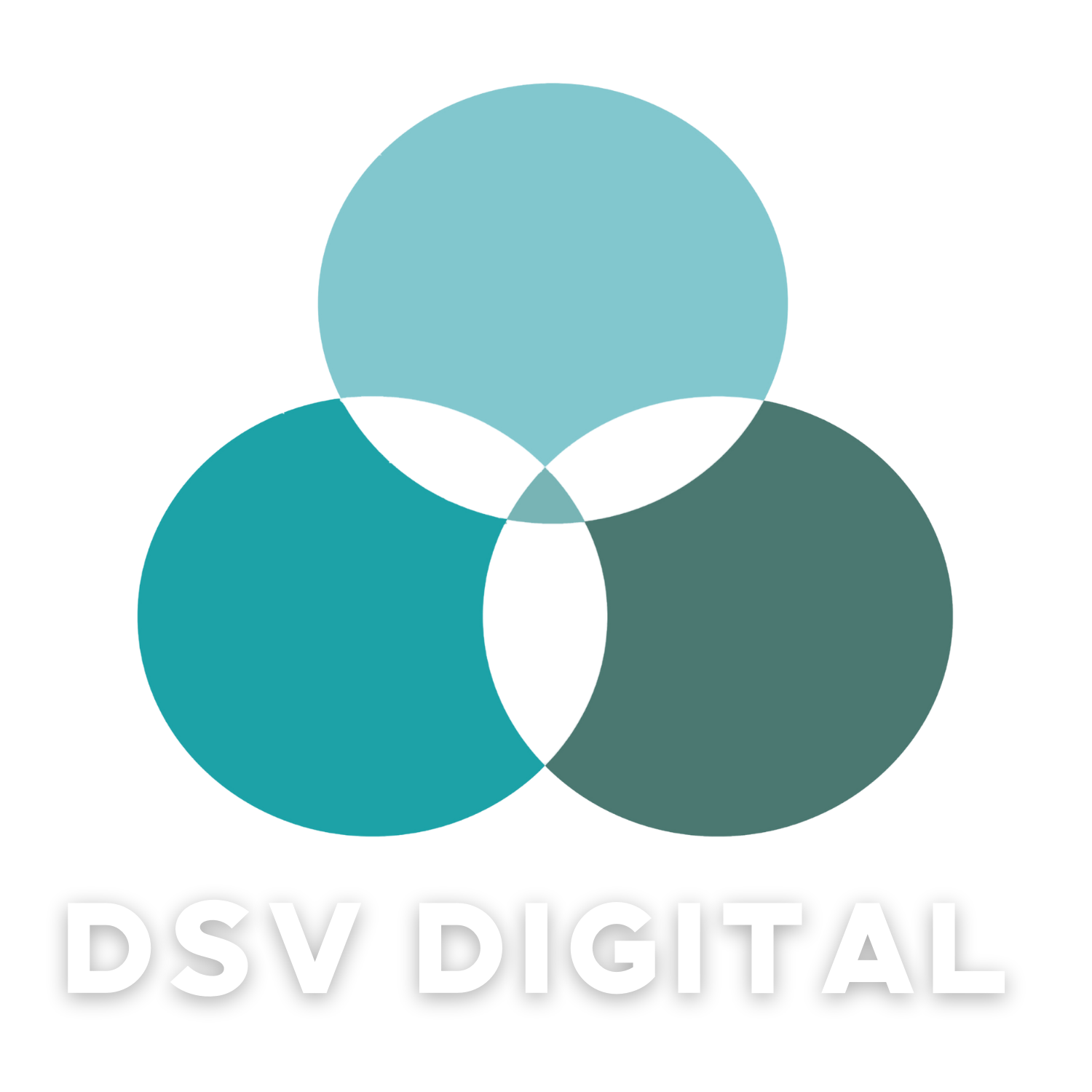 DSV Digital Management Corporation | The Go-To Platform for Businesses .